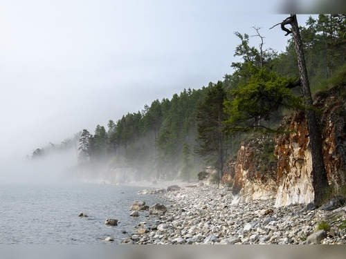 ИХТИОЛОГИЧЕСКАЯ ЭКСПЕДИЦИЯ БМ, июль 2024 г. - основной вид
