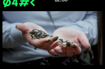 Дни научного кино в Байкальском музее