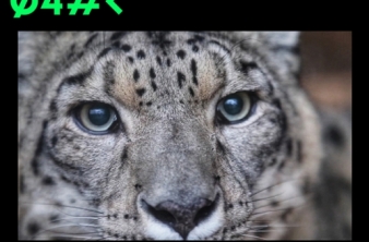 Дни научного кино в Байкальском музее