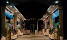 миниатюра - История развития жизни в процессе абиотических изменений на Земле - дополнительный вид 1