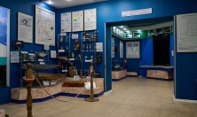 миниатюра - Растительный и животный мир Байкала - дополнительный вид 1