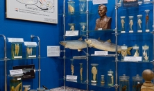 миниатюра - Растительный и животный мир Байкала - дополнительный вид 2