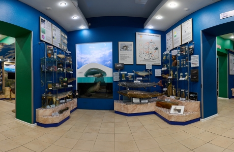 Растительный и животный мир Байкала