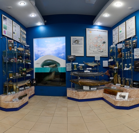 Растительный и животный мир Байкала