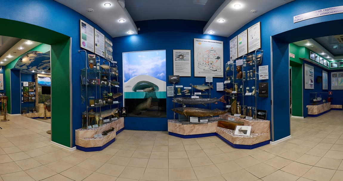 Растительный и животный мир Байкала - основной вид