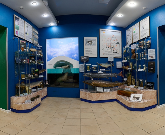 Растительный и животный мир Байкала