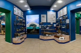 Растительный и животный мир Байкала