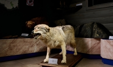 миниатюра - Особо охраняемые природные территории - дополнительный вид 1