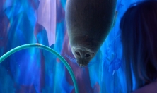 миниатюра - Аквариумы - дополнительный вид 8