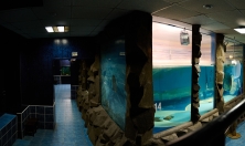 миниатюра - Аквариумы - дополнительный вид 10