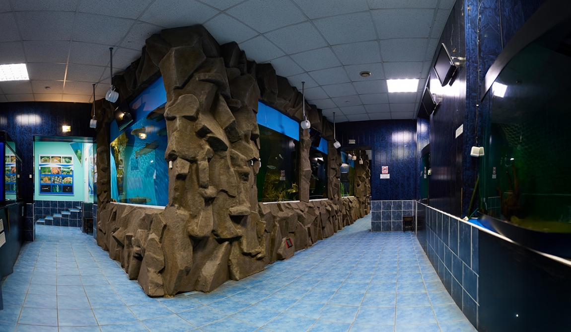 Аквариумы - основной вид