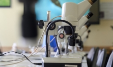 миниатюра - Живой мир Байкала под Микроскопом - дополнительный вид 3