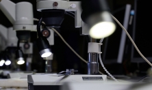 миниатюра - Живой мир Байкала под Микроскопом - дополнительный вид 7