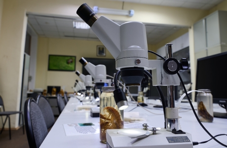 Живой мир Байкала под Микроскопом