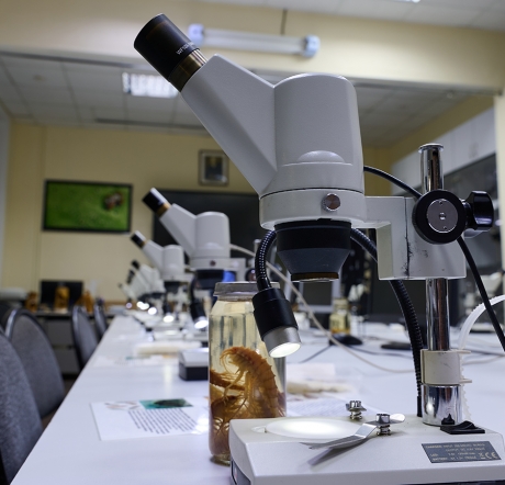 Живой мир Байкала под Микроскопом