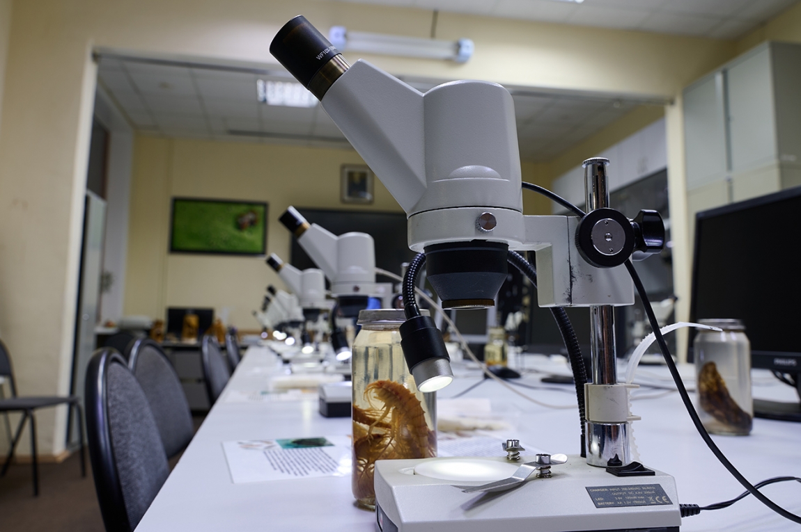 Живой мир Байкала под Микроскопом - основной вид