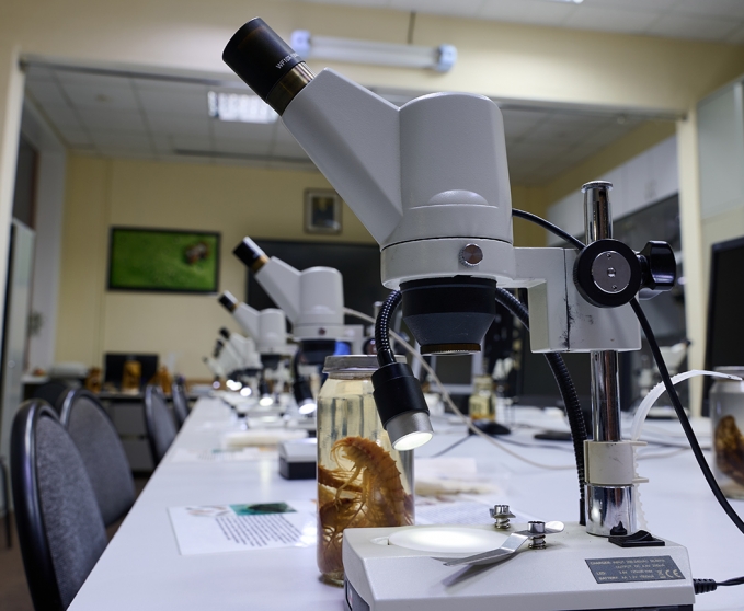 Живой мир Байкала под Микроскопом