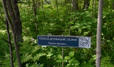 миниатюра - Дендропарк - дополнительный вид 3