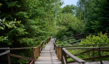 миниатюра - Дендропарк - дополнительный вид 5