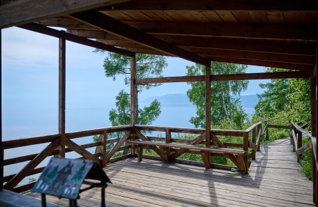 Дендропарк