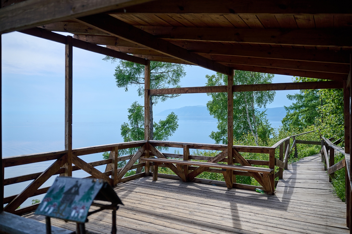 Дендропарк - основной вид