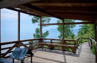 Дендропарк