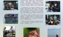 миниатюра - Тайны Байкальских глубин. Загадки Биоразнообразия - дополнительный вид 1