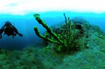 Тайны Байкальских глубин. Загадки Биоразнообразия