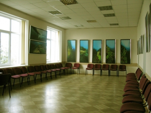 Выставочный зал - основной вид