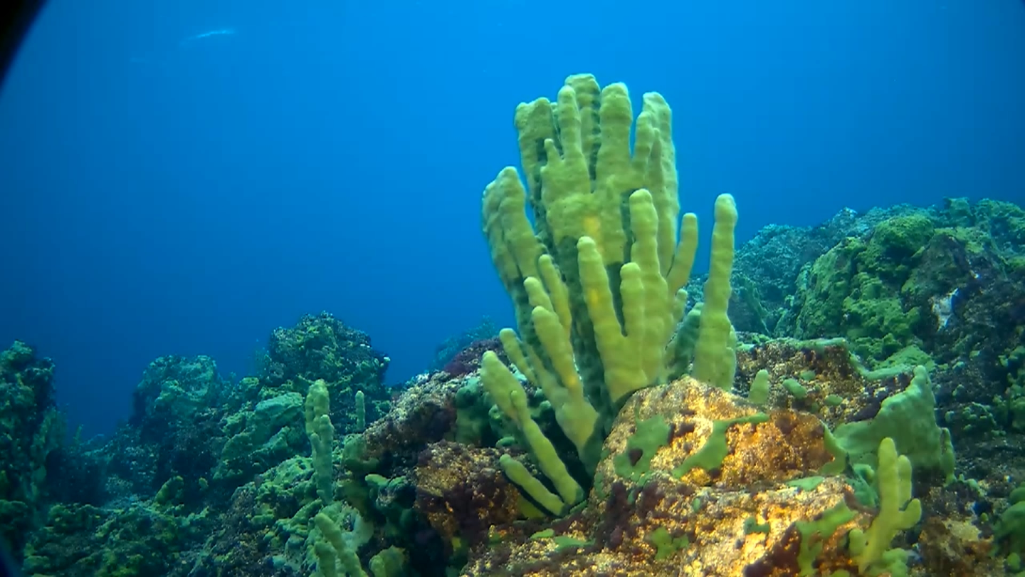 Тестирование заголовка 1