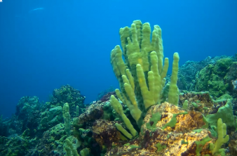 Тест нового дизайна для новости