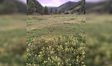 миниатюра - Школьная научно-исследовательская экспедиция в Маритуе - дополнительный вид 1