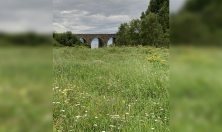 миниатюра - Школьная научно-исследовательская экспедиция в Маритуе - дополнительный вид 8