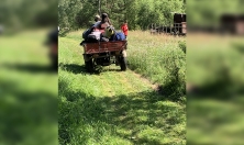 миниатюра - Школьная научно-исследовательская экспедиция в Маритуе - дополнительный вид 14