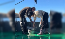 миниатюра - Экспедиция на НИС «Профессор А. А. Тресков» исследовала донные сообщества Байкала - дополнительный вид 1