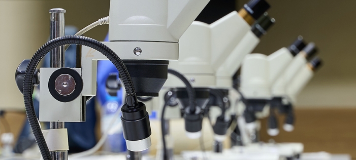 День Российской науки в Байкальском музее: погружение в мир исследований