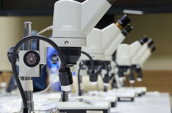 День Российской науки в Байкальском музее: погружение в мир исследований