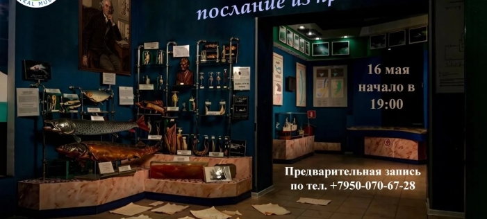 Ночь музеев