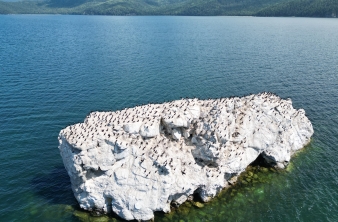 ОРНИТОЛОГИЧЕСКАЯ ЭКСПЕДИЦИЯ БАЙКАЛЬСКОГО МУЗЕЯ