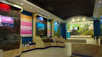 Виртуальное посещение музея